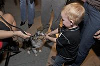 _MG_0400